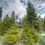 Farasen Luxury Treetop - Sleep Among The Trees