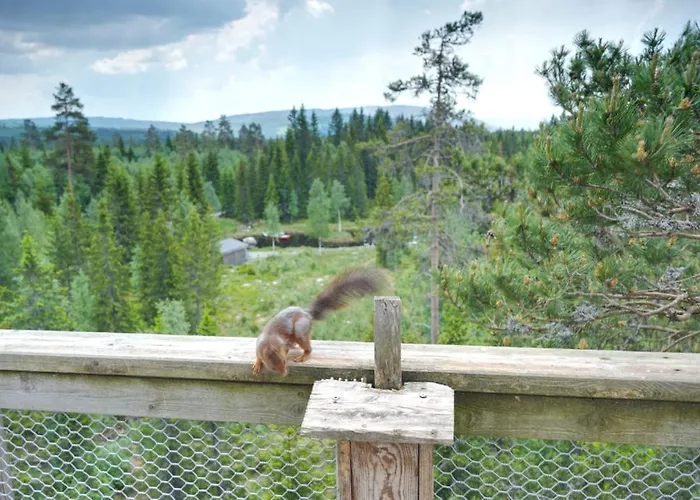 Faråsen Luxury Treetop - Sleep Among The Trees Luxe tent Sjusjøen
