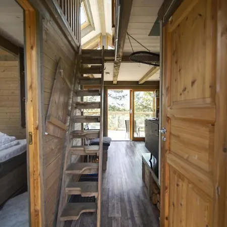 Farasen Luxury Treetop - Sleep Among The Trees *